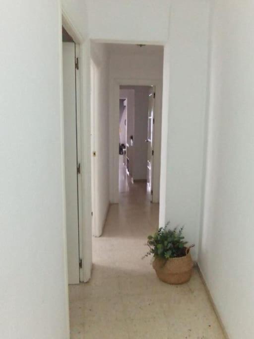 Apartamento Plaza Toros Σεβίλλη Εξωτερικό φωτογραφία